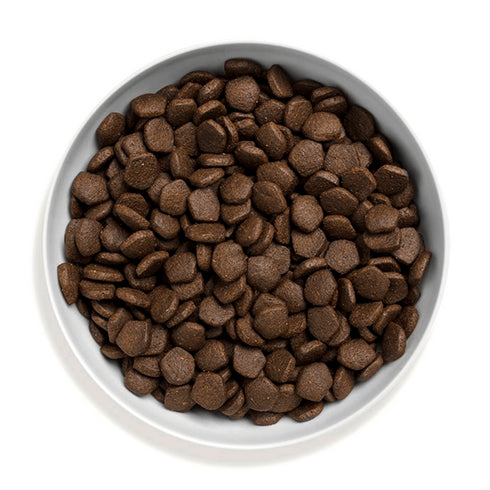 Hrana uscata pentru caini Canagan Grain Free Adult Somon 2kg